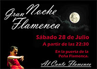 NOCHE FLAMENCA